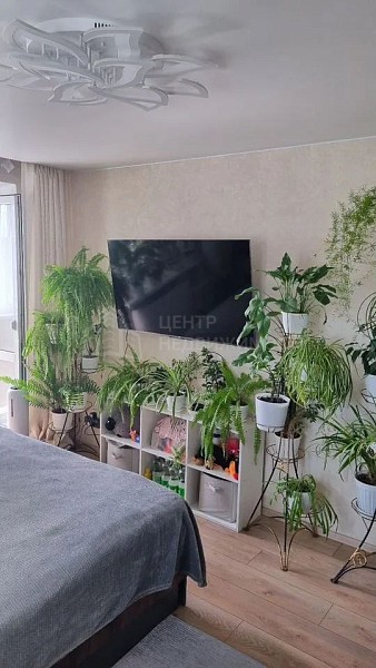 2-к квартира, 50 кв.м.