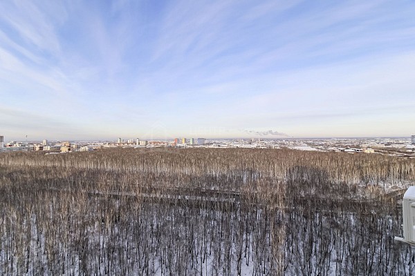3-к квартира, 79 кв.м.