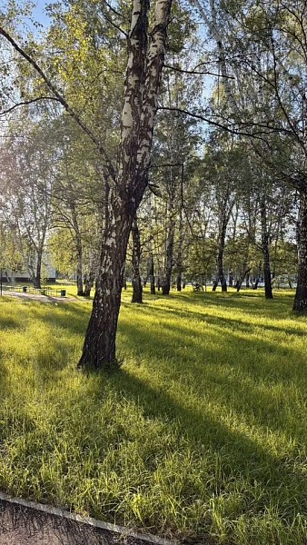 3-к квартира, 116 кв.м.
