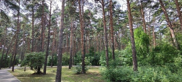 2-к квартира, 56 кв.м.