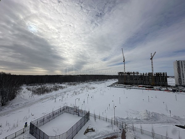 Аренда недвижимости Аренда недвижимости