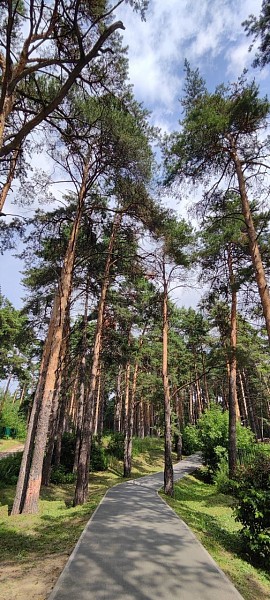 2-к квартира, 56 кв.м.