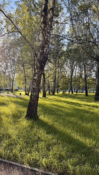 3-к квартира, 116 кв.м.