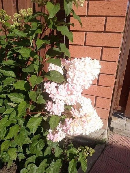 Дом с участком, 104 кв.м.