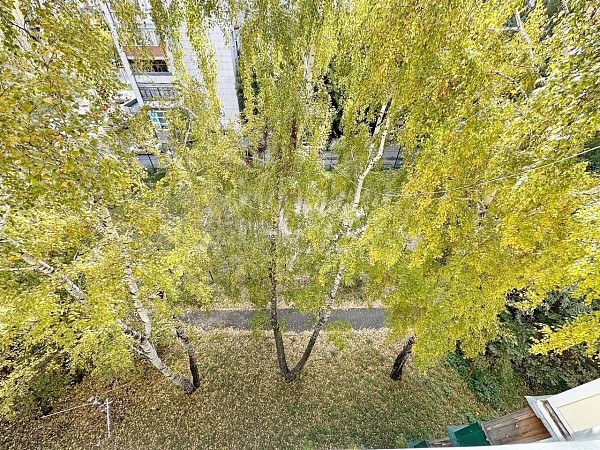 3-к квартира, 62 кв.м.