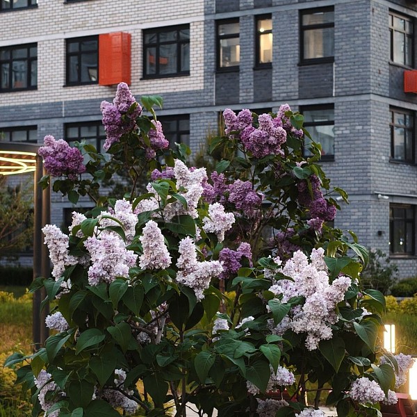 3-к квартира, 76 кв.м.