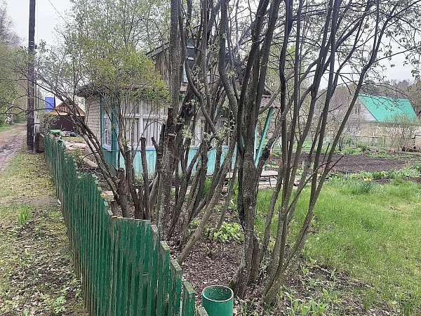 Дача, 20 кв.м.
