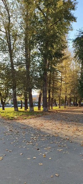 Студия, 12 кв.м.