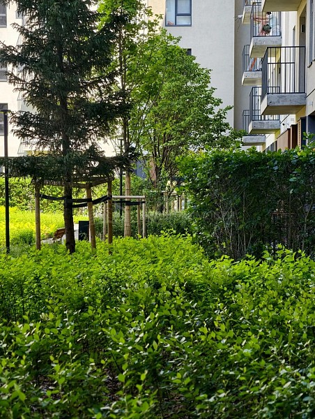 1-к квартира, 56 кв.м.