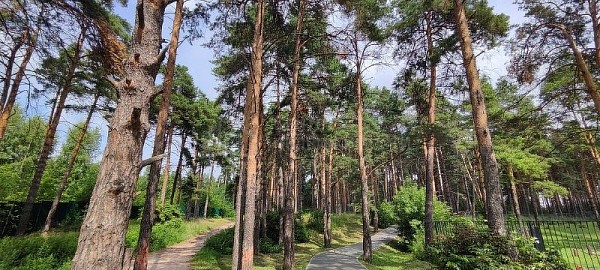 2-к квартира, 56 кв.м.