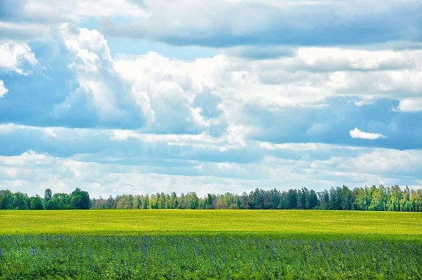 Участок , 575 сот., улица Даниила Ташланова