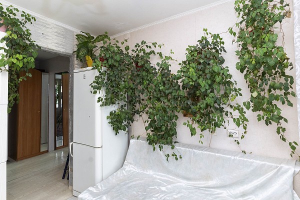 2-к квартира, 51 кв.м.