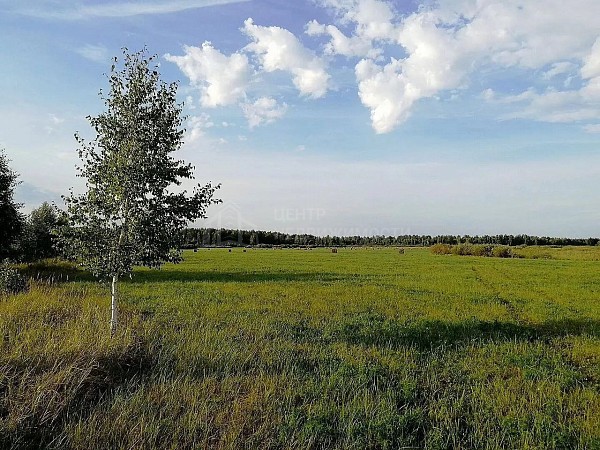Участок , 575 сот.