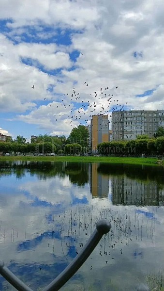 2-к квартира, 55 кв.м.