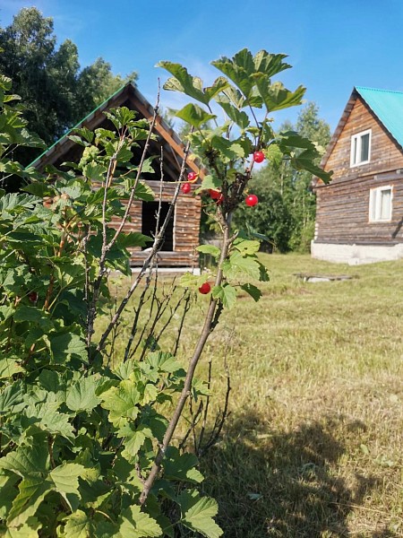 Участок , 15 сот.