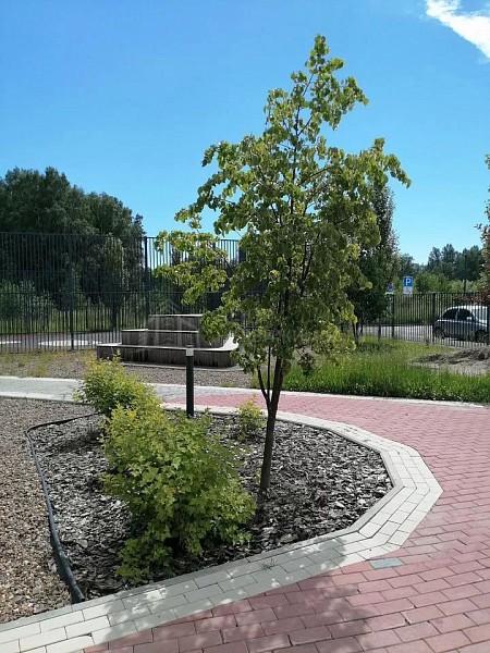 1-к квартира, 36 кв.м.