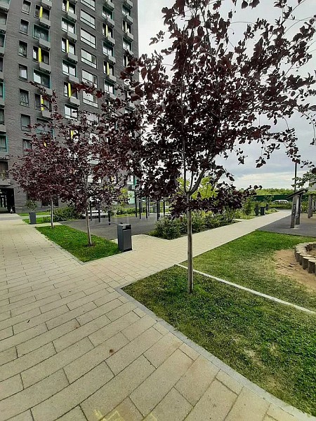 2-к квартира, 49 кв.м.